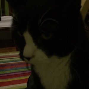 Meet your Posher, Eric